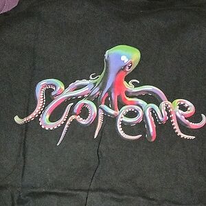 Supreme, BAPE, The North Face Description100 % authentic! Maybe worn twice!